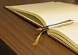 Pen & Diary