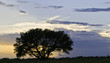 Photo en ligne au meilleur prix Sunset