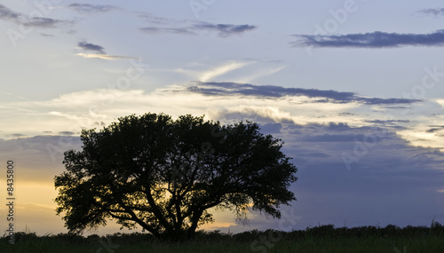 Sunset Sunset