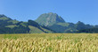 Alpes fribourgeoises Alpes fribourgeoises