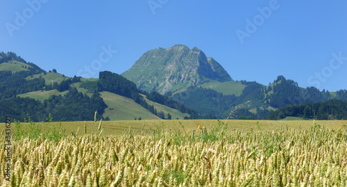 Alpes fribourgeoises