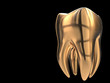 Goldzahn