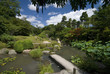 Jardin japonais