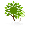 Tree icon