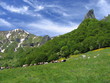 la fonte des neiges