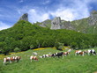 paysage de montagne