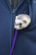 lyly en promenade