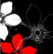 Vektor: Vector Illustration Blütenhintergrund Blume auf schwarz Vector Illustration Blütenhintergrund Blume auf schwarz