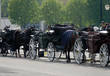CALECHES IN VIENNA (AUSTRIA) CALECHES IN VIENNA (AUSTRIA)