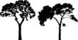 Two tree silhouettes on white