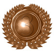 bronze medal