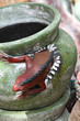 Tonware 10