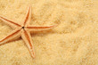 Photo: starfish and beach sand starfish and beach sand