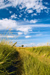 Non urban scene with country road Non urban scene with country road