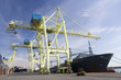 Port Cranes unloading a Ship