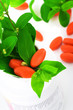 natural supplements