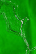 Flowing water stream