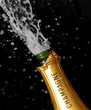 Photo: Champagner Flasche Champagner Flasche