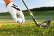Foto: golf tee golf tee
