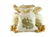 Bag of money