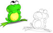 frogs