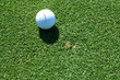Golfball pitchmark after proper repair.