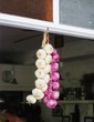 Onions