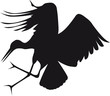 illustration svg heron