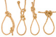 Four pieces of rope fastened in four different loops Four pieces of rope fastened in four different loops