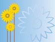 Sunflowers on a sky blue gradient background