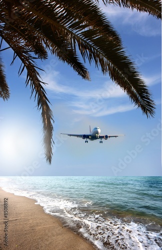 Photo: summer summer