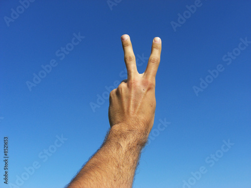 Photo: Peace* Peace*