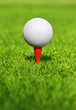 Let's play golf!