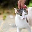 Photo: Scratch Scratch