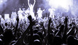 crowed