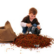 Foto: Boy Feeds Dog Boy Feeds Dog