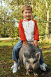 Foto: A True Piggy-Back Ride A True Piggy-Back Ride