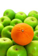 Stand Out From Crowd With Orange and Apples
