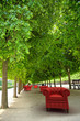 Photo: jardin royal et club rouge jardin royal et club rouge