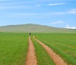 The single bicyclist riding bike along the footpath