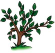 Deciduous Tree - detailed cartoon illustration