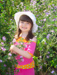 Photo: Little girl on a glade. Girl with a hat. Glade of violet flowers Little girl on a glade. Girl with a hat. Glade of violet flowers