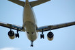 Flugzeug