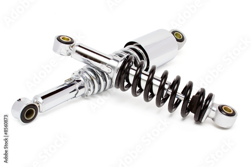 two shock-absorbers