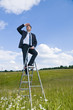 Manager auf der Leiter, Karriereleiter