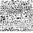 biggest collection of vector animals biggest collection of vector animals