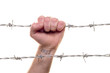 fist & barbed wire