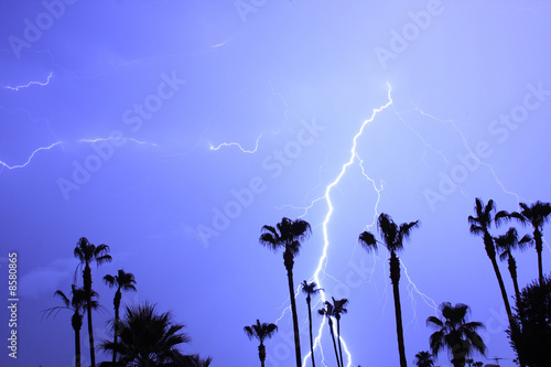 Photo: Palm Tres and Tropical Lightning Thunderstorm Palm Tres and Tropical Lightning Thunderstorm