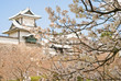 桜の金沢城