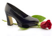 Elegant black shoe and a red rose, isolated